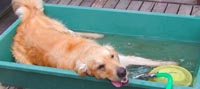 玉原高原のペンションラポールのテラスで涼しい水浴び